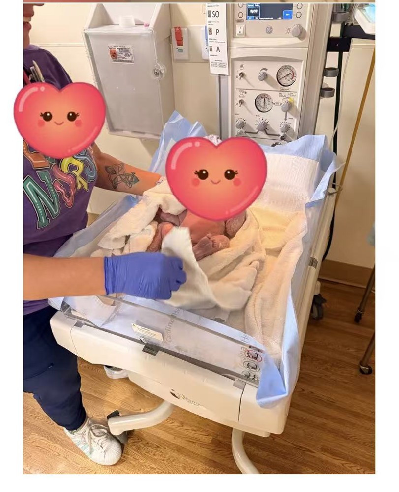 从漫长等待到温柔相遇:一个新生命的诞生