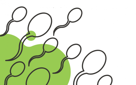 买精/捐精生子全流程指南 | 2025海外华人必看