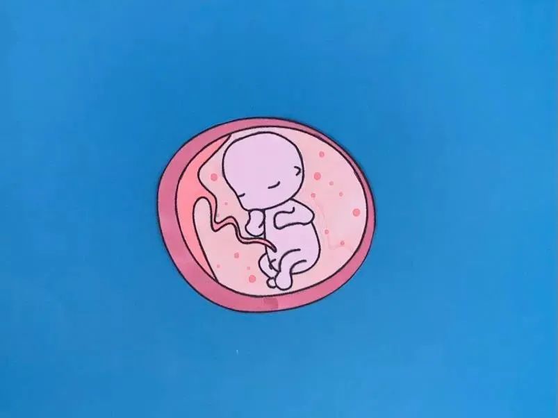 试管婴儿基因检测很重要！傻傻分不清楚PGS/PGD？