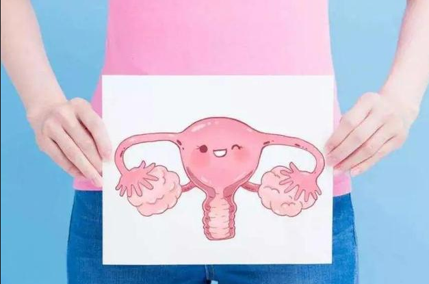 子宫.png