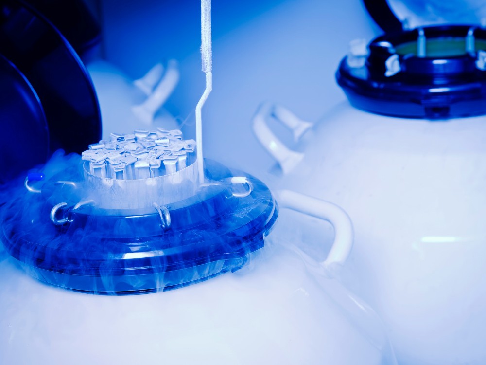 美国试管中多次冻融对胚胎或卵子的影响