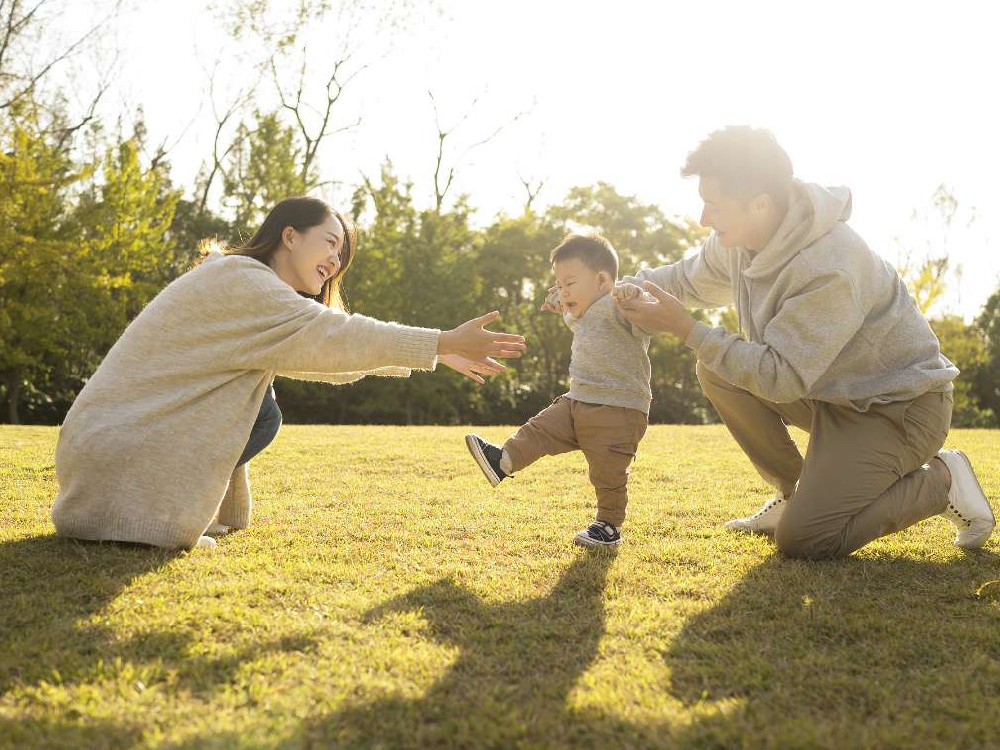 美国试管婴儿科普：什么补充剂可以提升卵子或精子的质量？