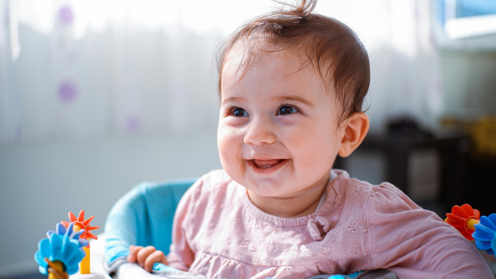 pexels-ferhat-kocakaya-218644751-27212247.jpg